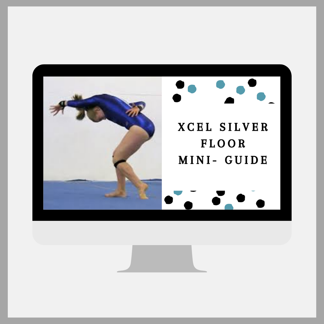 Xcel Mini Guide: Xcel Silver Floor