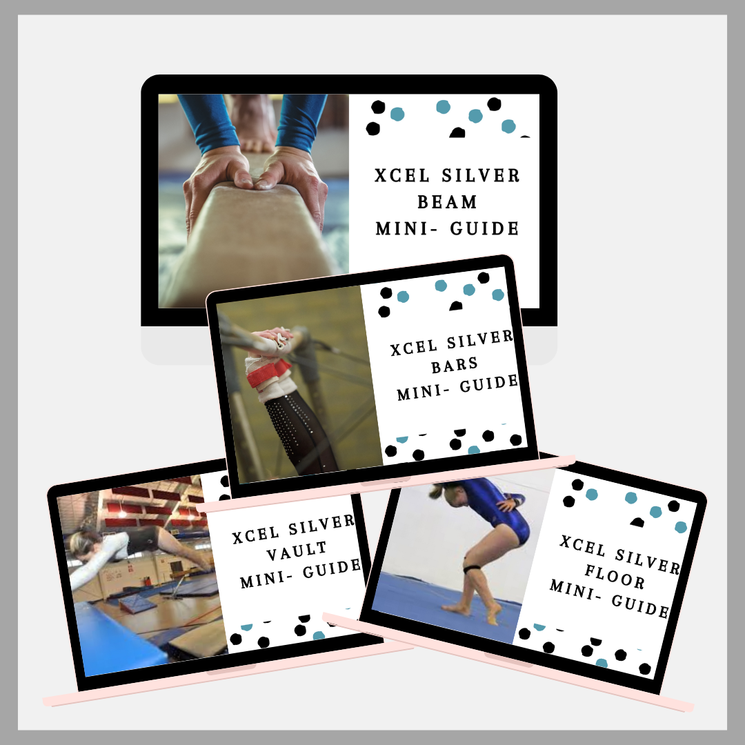 Xcel Mini Guide Bundle: Xcel Silver