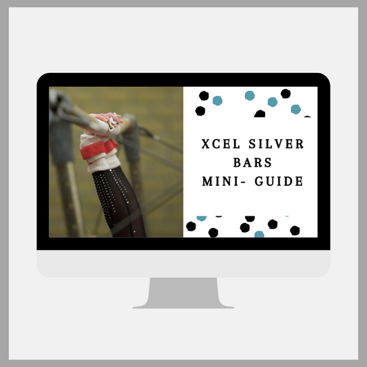 Xcel Mini Guide: Xcel Silver Bars