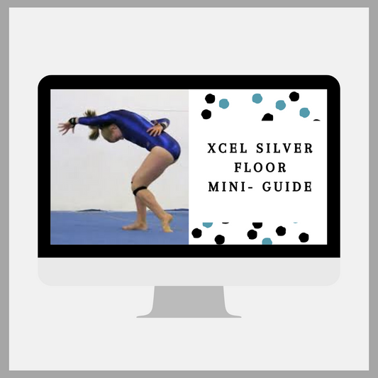 Xcel Mini Guide: Xcel Silver Floor