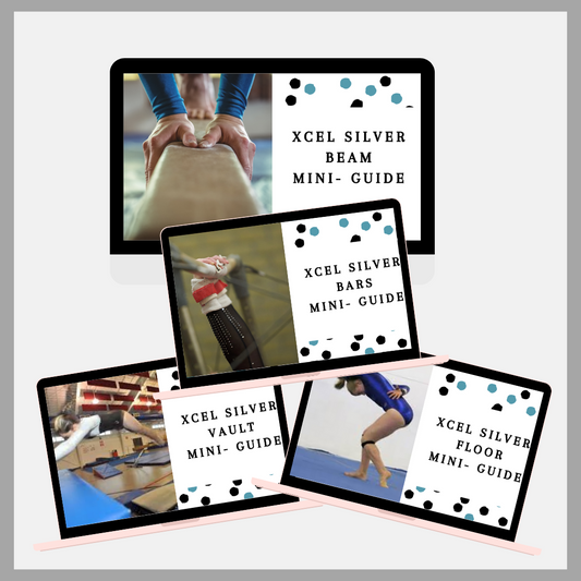 Xcel Mini Guide Bundle: Xcel Silver