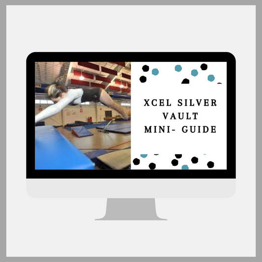 Xcel Mini Guide: Xcel Silver Vault